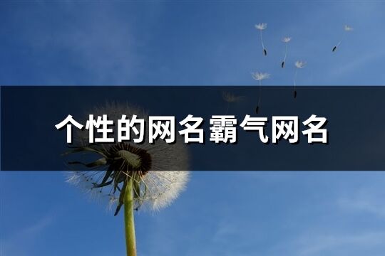 个性的网名霸气网名(386个)