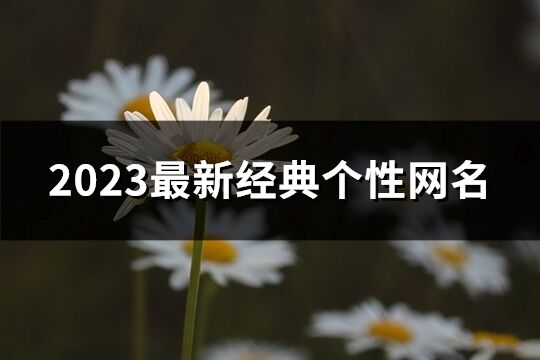 2023最新经典个性网名(共1781个)