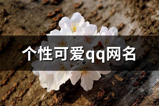 个性可爱qq网名(精选220个)