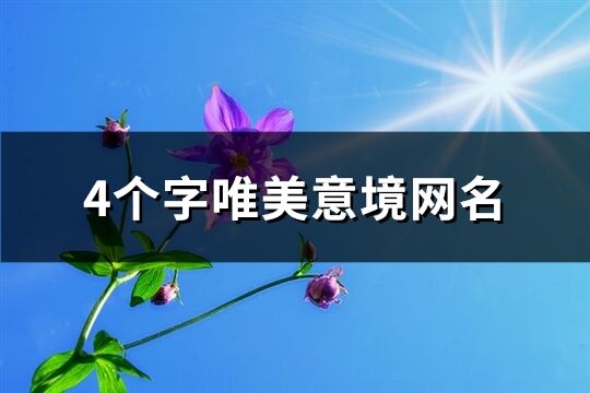 4个字唯美意境网名(313个)