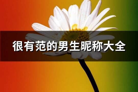 很有范的男生昵称大全(优选381个)