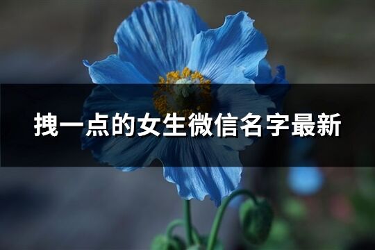 拽一点的女生微信名字最新(优选598个)