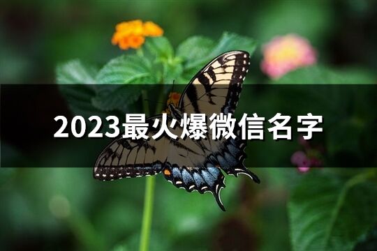 2023最火爆微信名字(精选2706个)