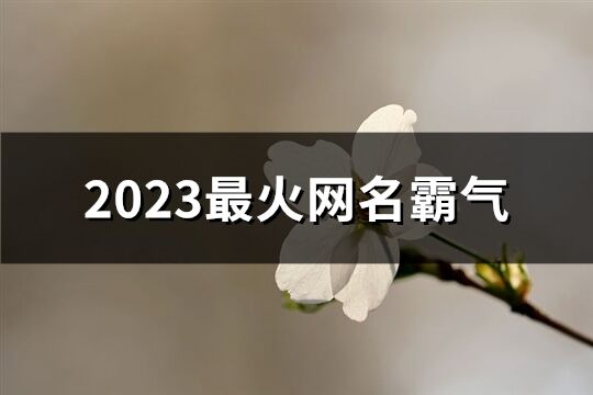 2023最火网名霸气(优选689个)