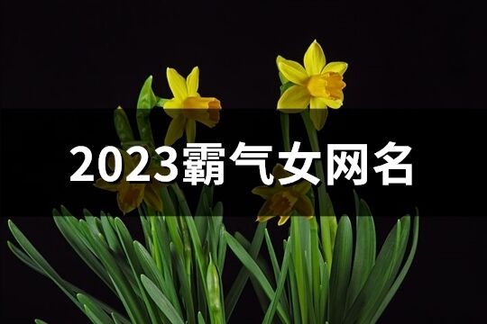 2023霸气女网名(精选639个)