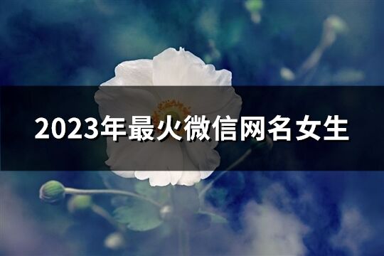 2023年最火微信网名女生(共418个)