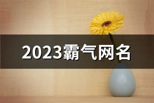 2023霸气网名(优选601个)