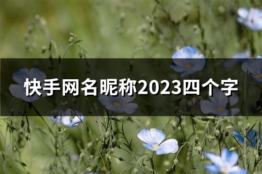 快手网名昵称2023四个字(713个)