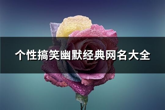 个性搞笑幽默经典网名大全(共360个)