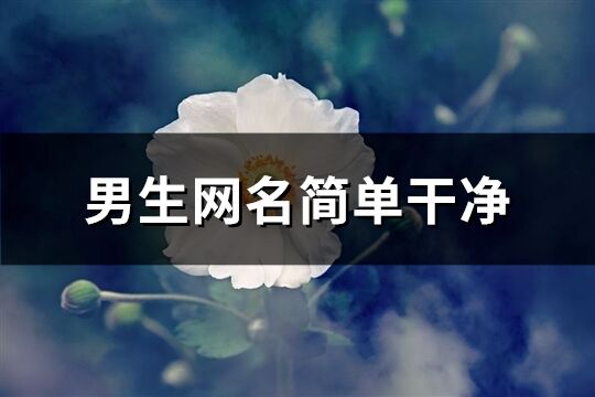 男生网名简单干净(精选846个)