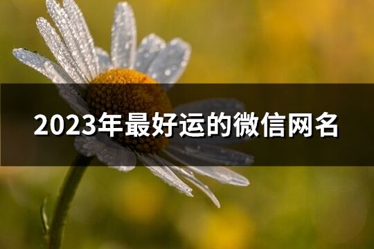 2023年最好运的微信网名(精选1120个)