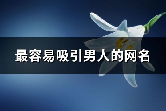 最容易吸引男人的网名(优选285个)