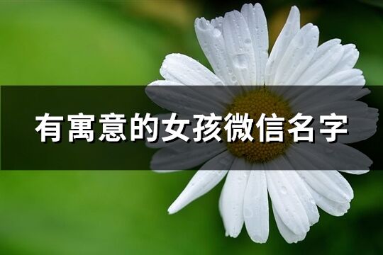 有寓意的女孩微信名字(906个)