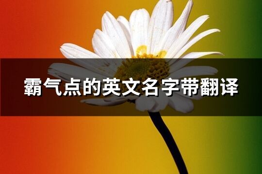 霸气点的英文名字带翻译(优选140个)