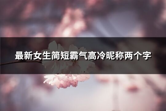 最新女生简短霸气高冷昵称两个字(526个)