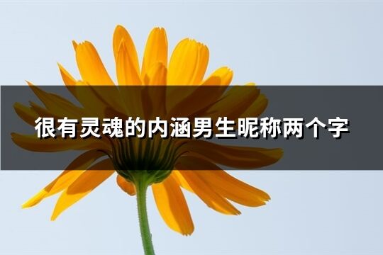 很有灵魂的内涵男生昵称两个字(精选374个)