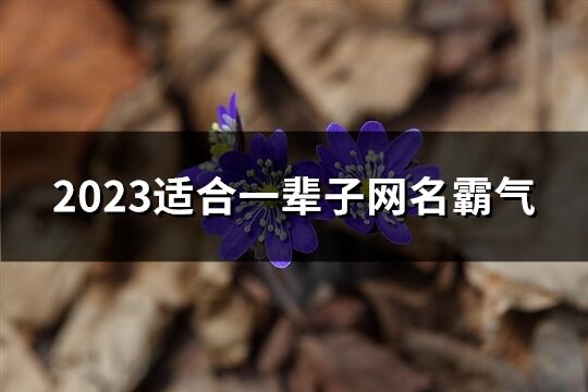 2023适合一辈子网名霸气(精选650个)