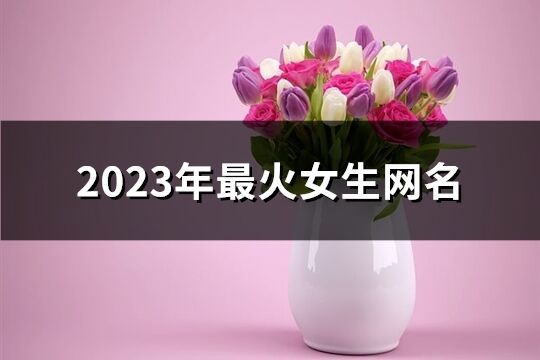 2023年最火女生网名(1667个)