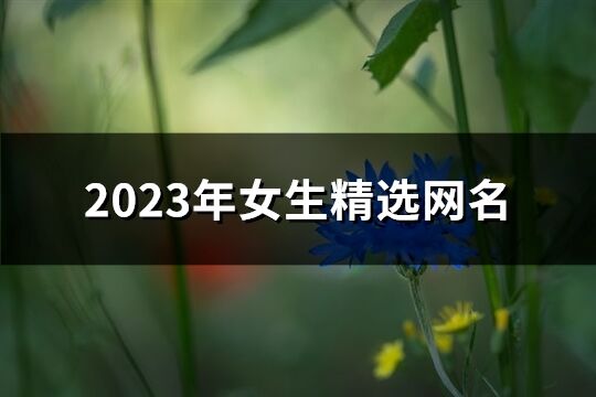 2023年女生精选网名(优选1918个)