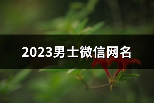 2023男士微信网名(共801个)