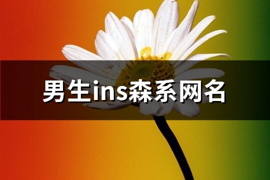 男生ins森系网名(共92个)