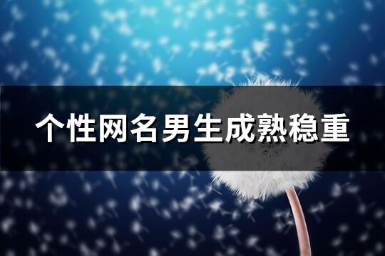 个性网名男生成熟稳重(共1212个)