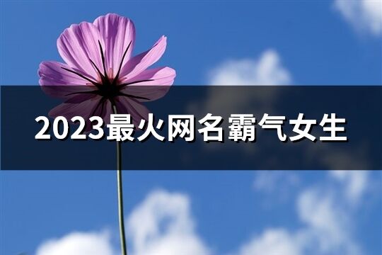 2023最火网名霸气女生(精选594个)