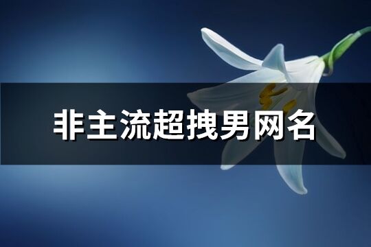 非主流超拽男网名(269个)