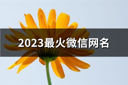 2023最火微信网名(共1037个)