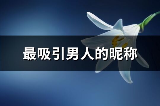 最吸引男人的昵称(优选434个)