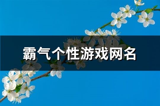 霸气个性游戏网名(287个)