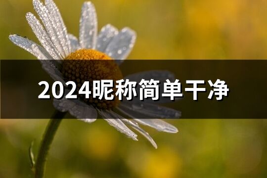 2024昵称简单干净(优选818个)