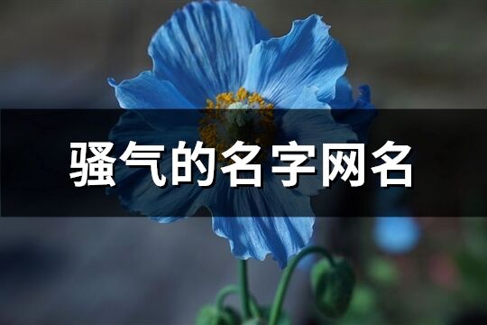 骚气的名字网名(精选171个)