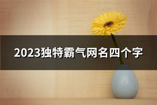 2023独特霸气网名四个字(384个)