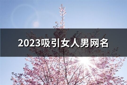 2023吸引女人男网名(精选444个)