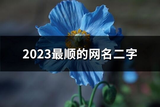 2023最顺的网名二字(优选951个)