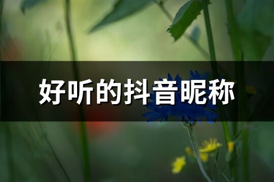 好听的抖音昵称(精选1187个)