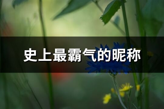 史上最霸气的昵称(优选220个)