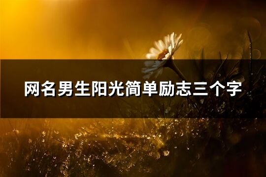 网名男生阳光简单励志三个字(精选77个)