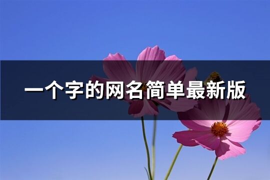 一个字的网名简单最新版(共899个)