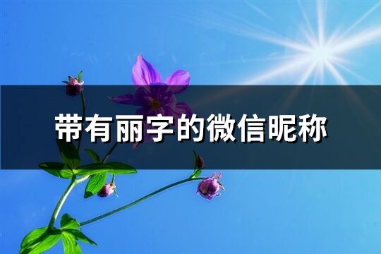 带有丽字的微信昵称(73个)