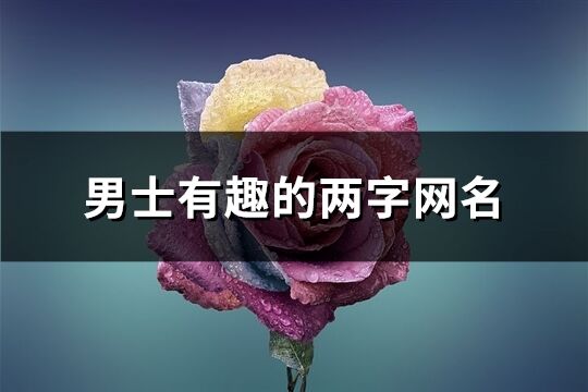 男士有趣的两字网名(精选2223个)