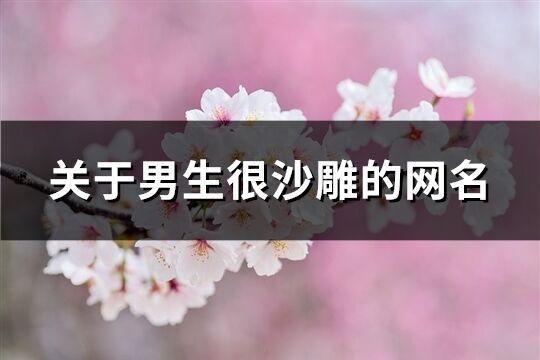 关于男生很沙雕的网名(优选591个)