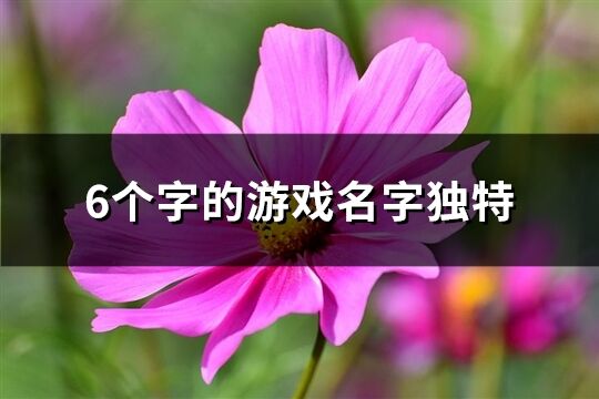 6个字的游戏名字独特(优选1334个)