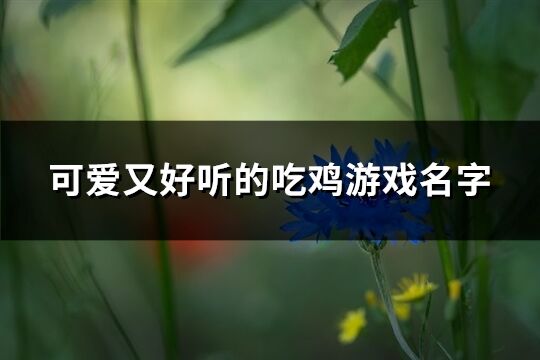 可爱又好听的吃鸡游戏名字(364个)