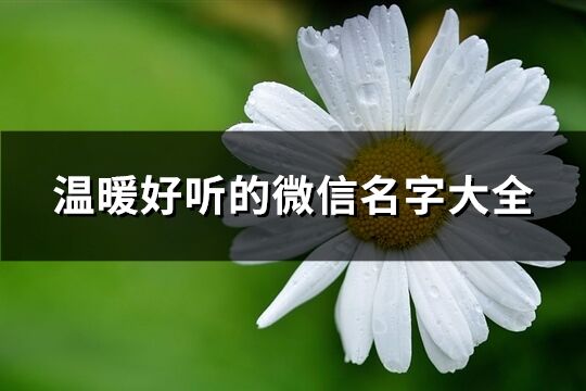 温暖好听的微信名字大全(精选796个)