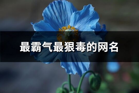 最霸气最狠毒的网名(精选151个)