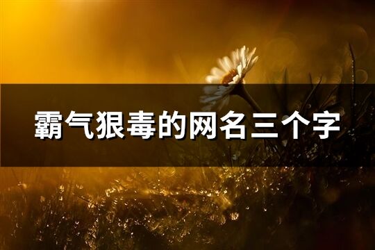 霸气狠毒的网名三个字(优选589个)