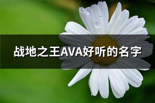 战地之王AVA好听的名字(精选116个)