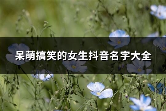 呆萌搞笑的女生抖音名字大全(优选320个)